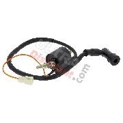 Ignition Coil for PW80