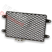 Cooling Radiator Guard for ATV Shineray Quad 250STIXE - ST-9E