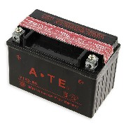 Battery for ATV Shineray Quad 250cc ST-9E