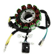 Stator for ATV Shineray Quad 250cc ST-9E