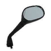 Right Mirror for ATV Shineray Quad 250cc ST-9E