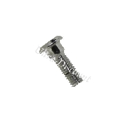 Brake Disc Retaining Screw for ATV Shineray Quad 250 cc (28mm)