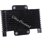 Radiator for ATV Shineray Quad 200cc (XY200ST-6A)