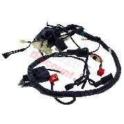 Wire Harness for ATV Shineray Quad 300cc ST-5E