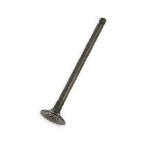 Exhaust Valve for ATV Shineray Quad 300cc ST-5E