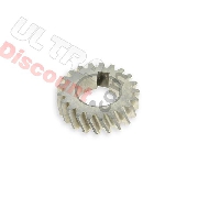 Gear for Clutch ATV Shineray Quad 300ccs