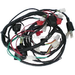 Wire Harness for Baotian Scooter BT49QT-12