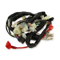 Wire Harness for Dax Skyteam Skymax 50 to 125cc EURO4 (before 09-2017)