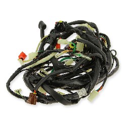 Wire Harness for ATV Bashan Quad 250cc (BS250AS-43)