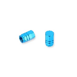 Pair of valve caps blue