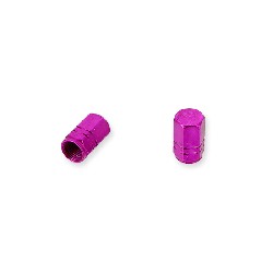 Pair of valve caps purple