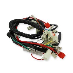 Wire Harness for Monkey 50cc - 125cc (Before 10-2015)