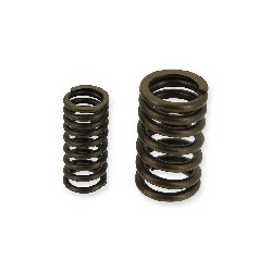 Valve Springs for ATV Spy Racing 250 F3, ATV Spare Parts SPY250F3