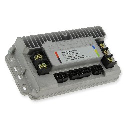 Dimmer Controller 1500w for Citycoco (typ2)