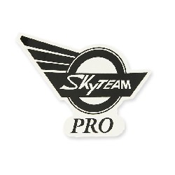 SkyTeam Pro sticker for Skymini tank (right)