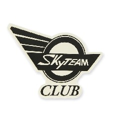 SkyTeam Club sticker for Skymini tank (right)