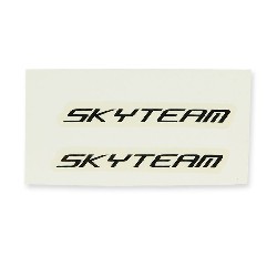 SkyTeam sticker (White-black)