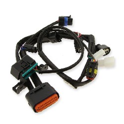 Connexion line 1 for Engine control unit for Dax Skyteamla EURO5 - NEW VERSION