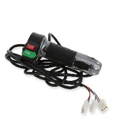 Electric Throttle Grip Citycoco (Alu) type5, Citycoco spare parts