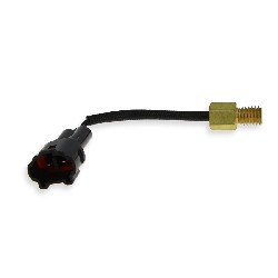 Cylinder temperature sensor for Skyteam Skymax Euro 5