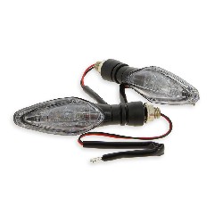 Pair of LED indicators for Citycoco