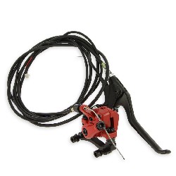 Complete rear Brake Assy for Mini CityCoco (typ2), Mini Citycoco spare parts