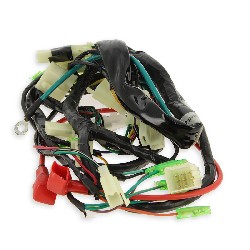 Wire Harness for Skyteam V-Raptor, Spare Part V-Raptor Skyteam