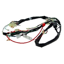 Wire Harness 36610-17H01 for Skymax 50cc 125cc (before 10-2015), Dax Skymax Parts
