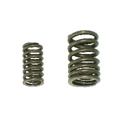 Valve Springs for ATV Shineray Quad 200cc, Shineray Parts ATV 200STIIE and STIIEB