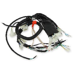 Wire Harness for ATV Bashan Quad 200cc (BS200S-7)