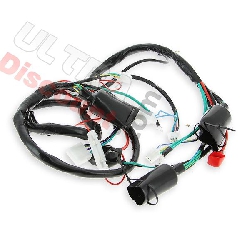 Wire Harness for Baotian Scooter BT49QT-9