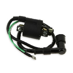 Ignition Coil + Noise Filter for Quad type 1