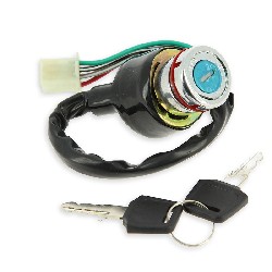Lock Assy for Dirt Bike (type 3) - 6 wires