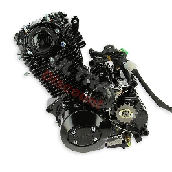 Zongshen Engine 250cc ZF167FMM-2 for Dirt Bike