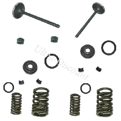 Valve Kit for ATV Shineray Quad 250cc STXE