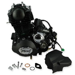 Engine 50cc vertical (139FMA) Skyteam ACE (Black)