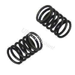 Valve Springs for Baotian Scooter BT49QT-11 (Ø 22mm)