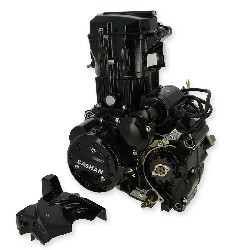 Complete Engine 167MM EURO4 for ATV Bashan Quad 250cc (BS250AS-43)
