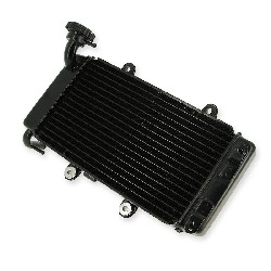 Radiator for Bashan Parts ATV 250cc BS250AS-43