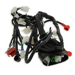 Wire Harness for ATV Bashan Quad 250cc (BS250S-11B)