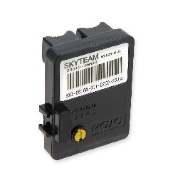 Engine control unit for Dax Skyteam Skymax ST125-M-N E4