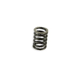 Clutch spring 125cc for Spare Parts Bubbly Skyteam