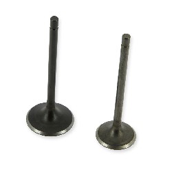 Set of Engine Valves for Dirt Bikes 250cc 167FMM, Dirt Bike Spare Parts
