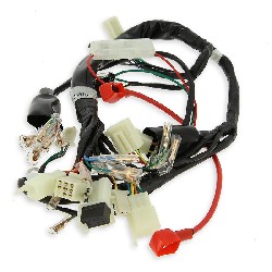 Wire Harness for PBR 50cc - 125cc (after 10-2015)