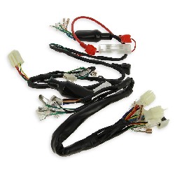 Wire Harness for PBR 50cc - 125cc (before 10-2015)