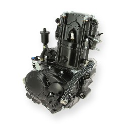 Engine for ATV Spy Racing SPY250F3 (ZS169MM )