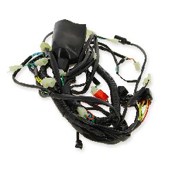 Wire Harness for ATV Spy Racing 350 F1