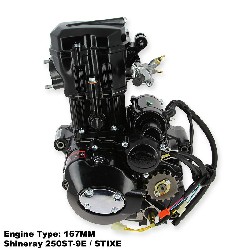 Engine for ATV Shineray Racing Quad 250cc (167MM)