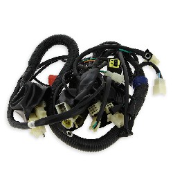 Wire Harness for ATV Shineray Quad 350cc (XY350ST-E)