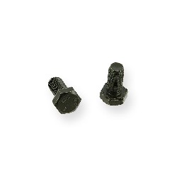 Pair of screws M10 20mm type2 for frame